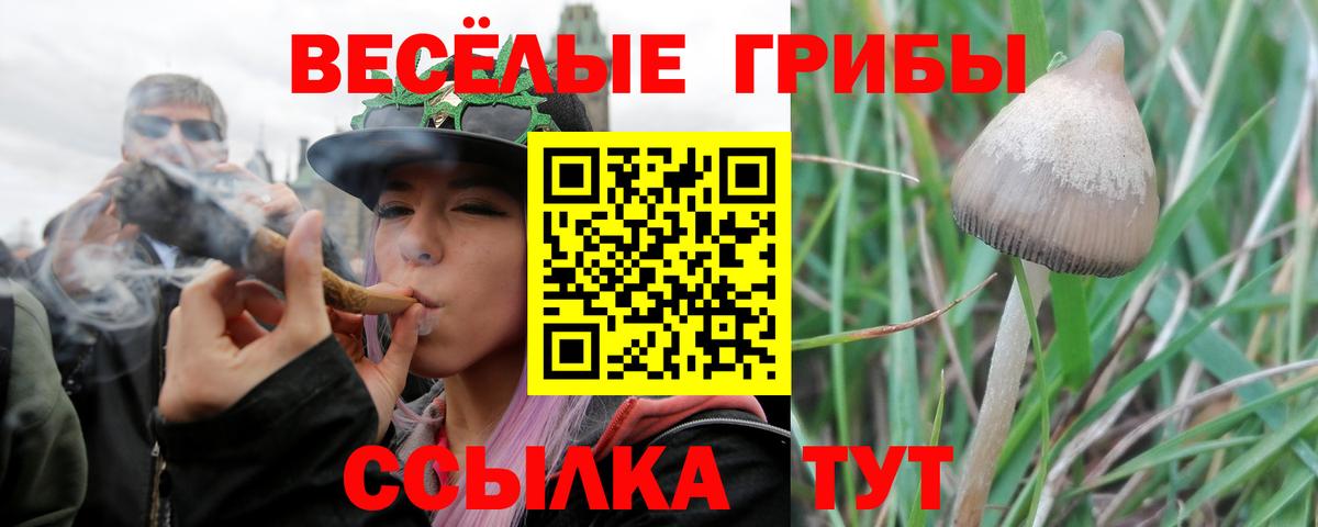Псилоцибиновые грибы Magic Shrooms Великие Луки
